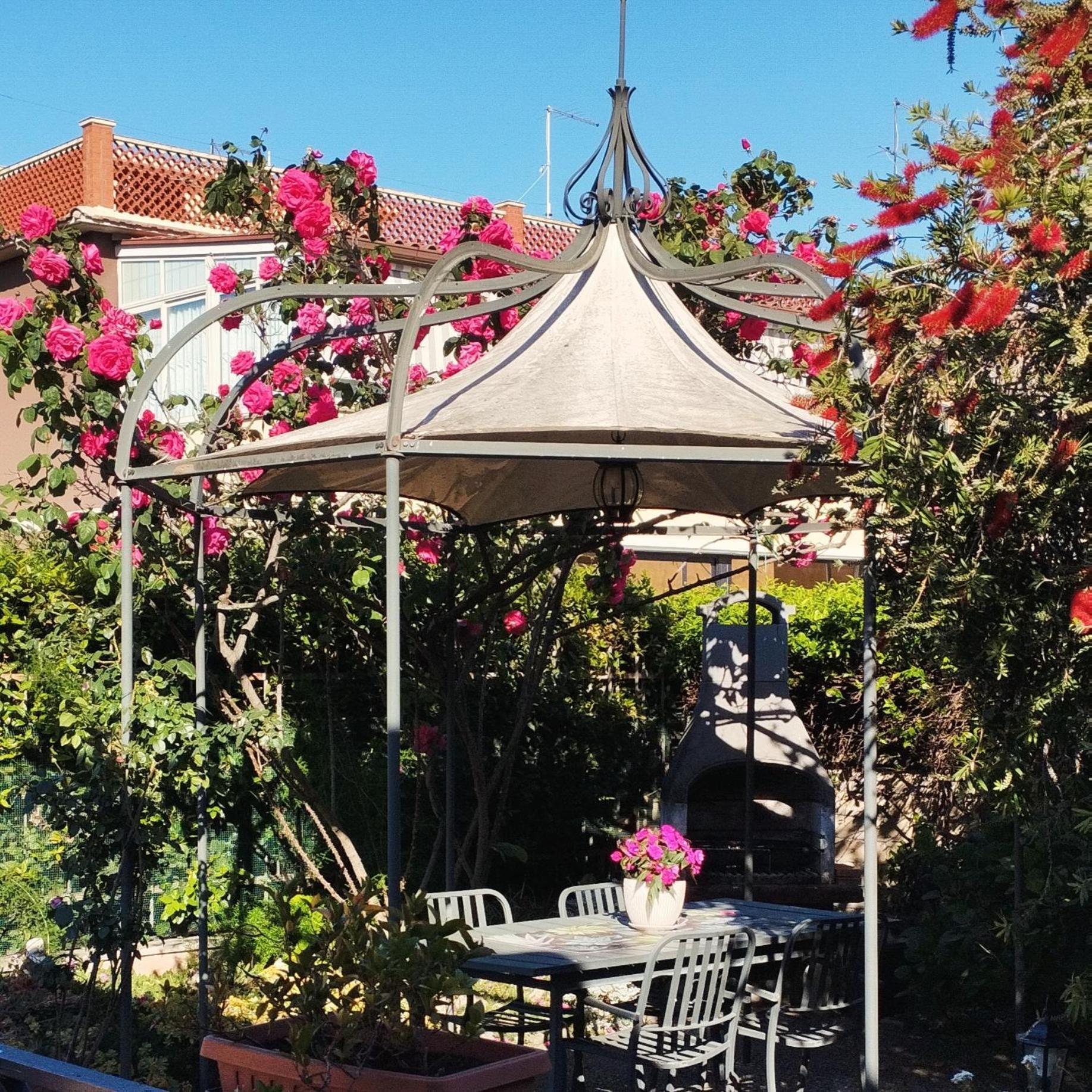 L'Oasi Delle Vigne — Photos 3